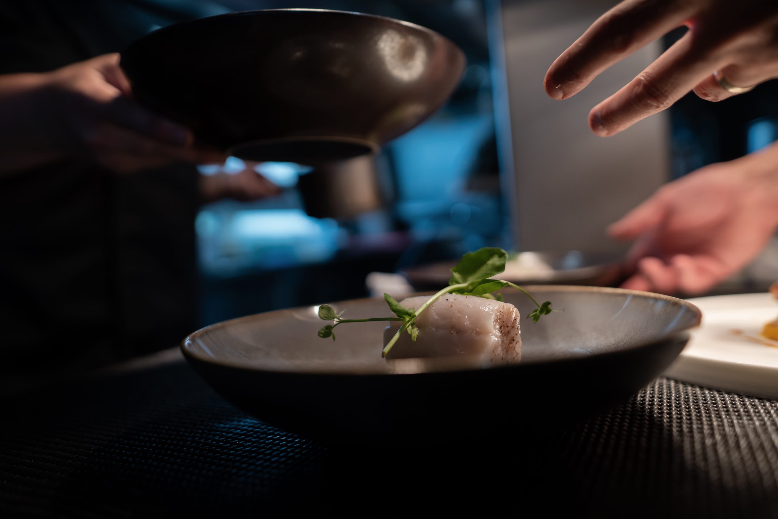 Photographie d'un plat du restaurant La Table de La Bergerie